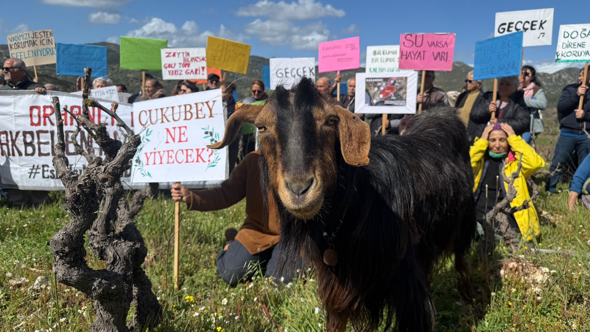 Whatsapp Image 2026 04 02 At 17.30.14