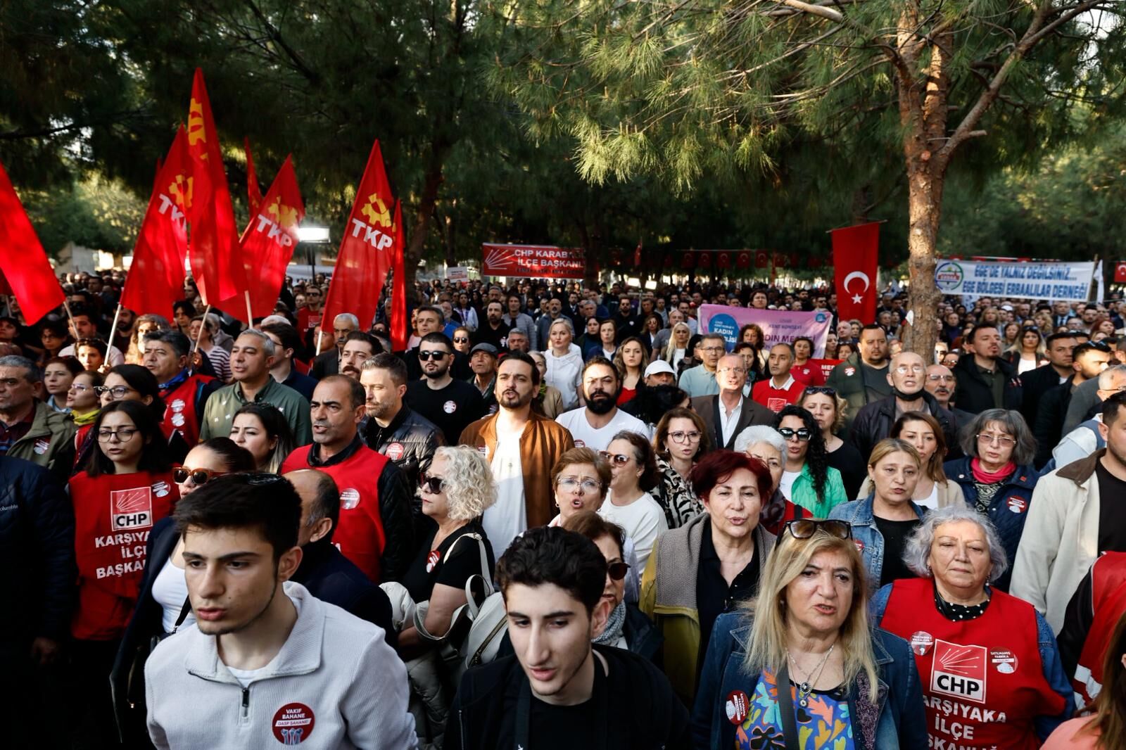 Whatsapp Image 2026 04 08 At 19.46.05