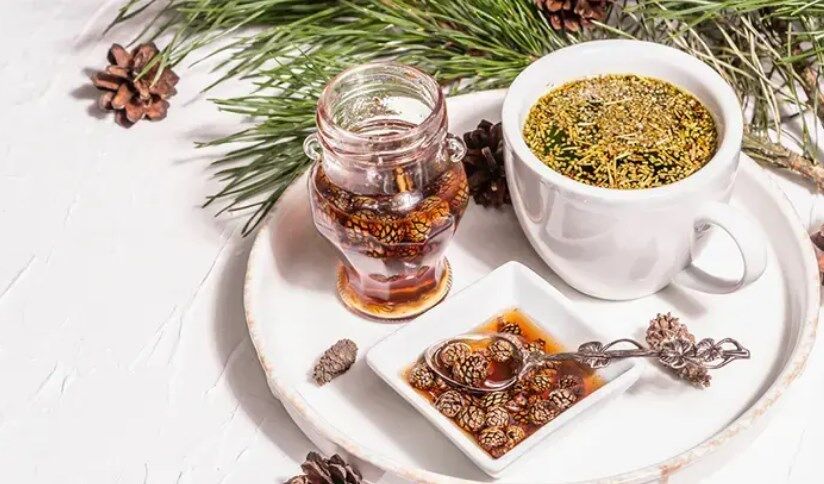 Çam Kozalagı 1