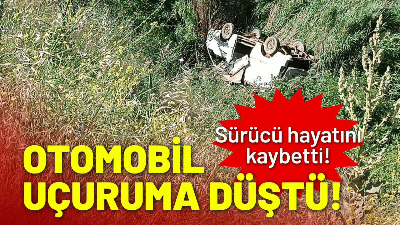 Otomobil uçuruma düştü, sürücü hayatını kaybetti!