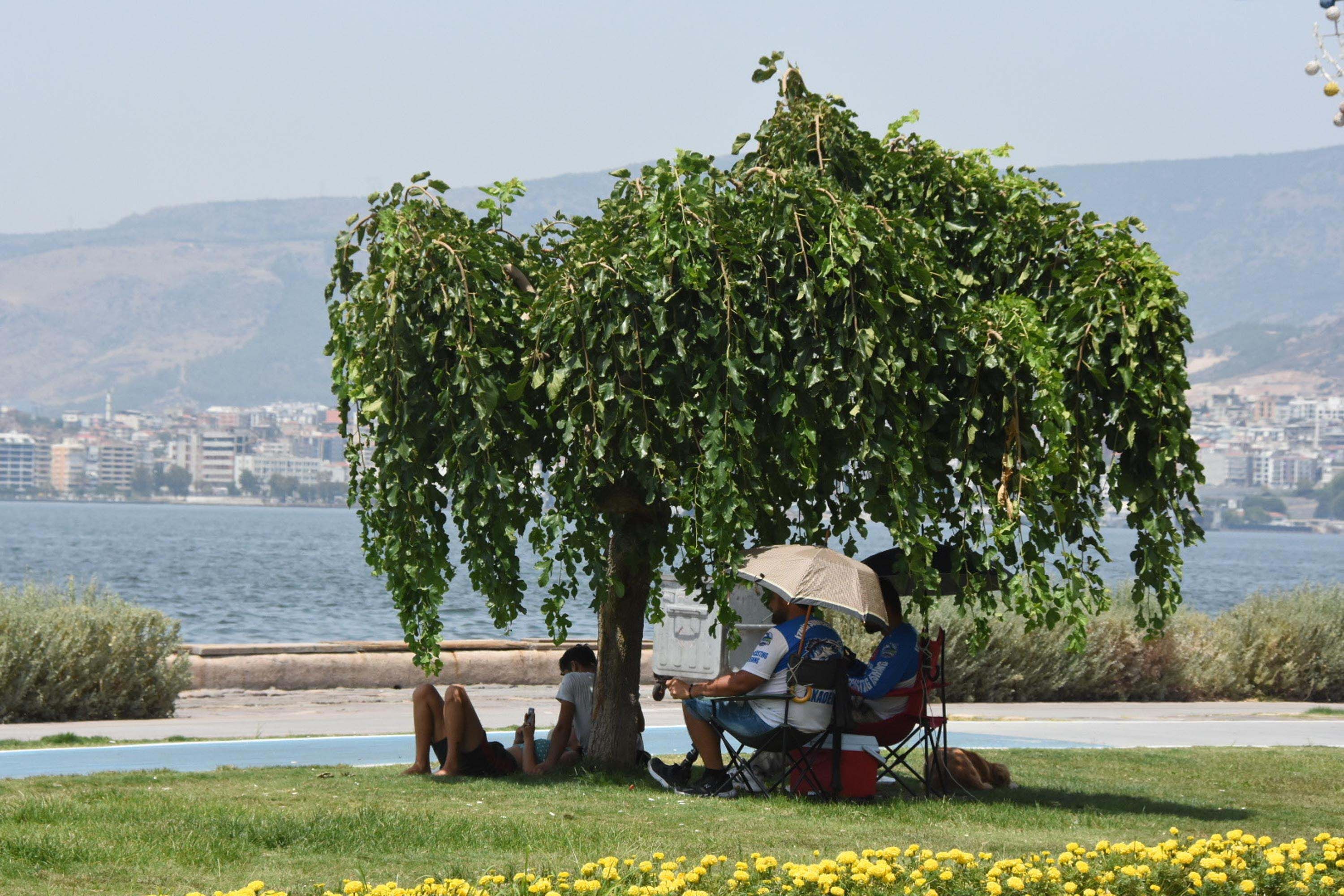 Uzmanlardan Sicaklik Ve Orman Yangini 1349689 400763 (1)