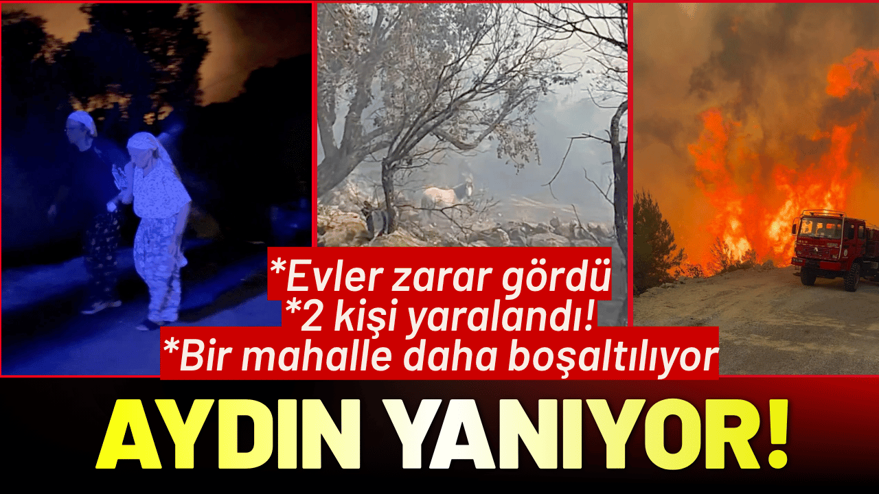 Aydın'da orman yangını: Evler zarar gördü, 2 kişi yaralandı!