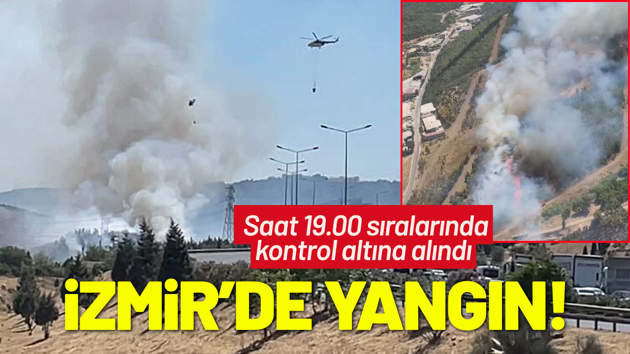 İzmir'de otluk alanda çıkan yangın, ormana sıçradı
