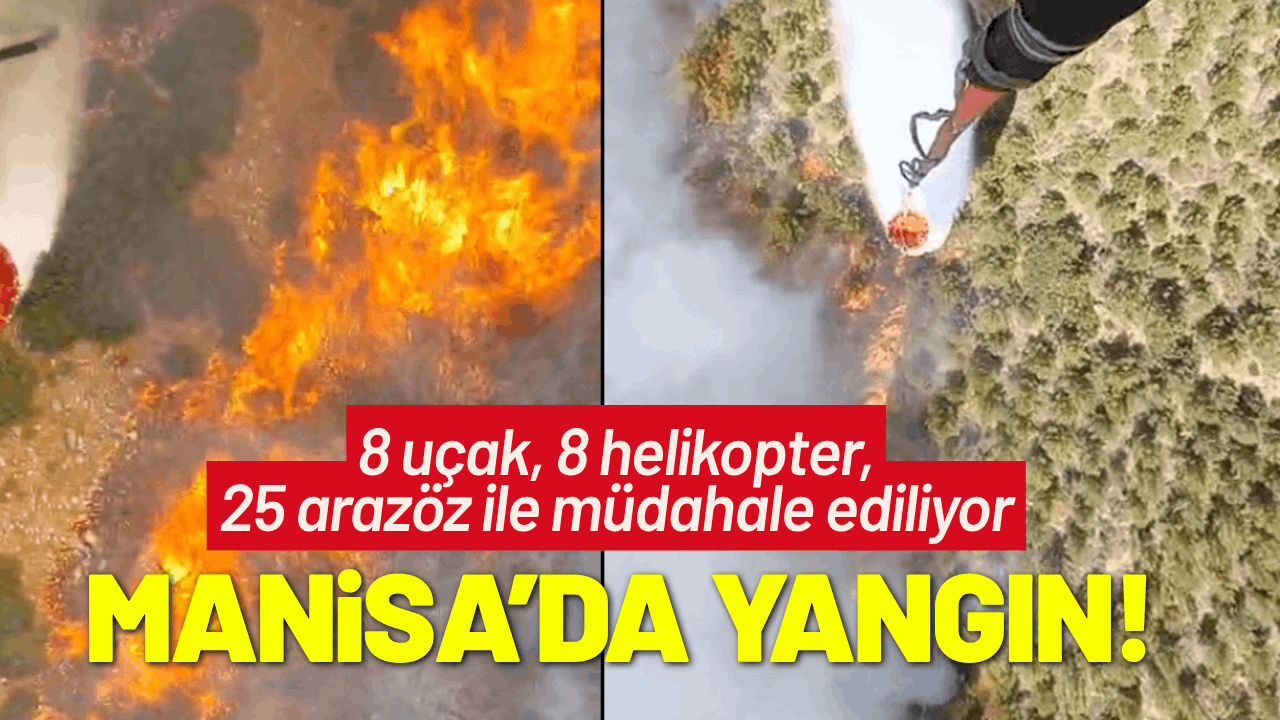 Manisa'da orman yangını