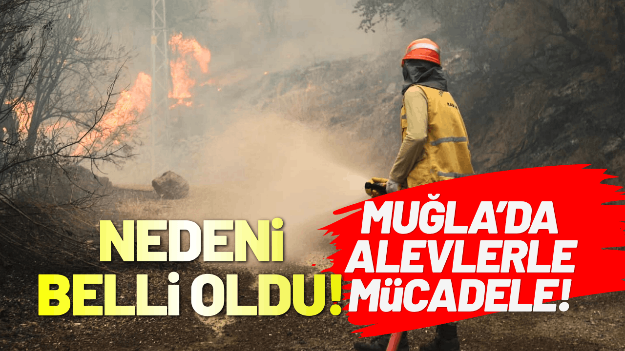 Muğla'da yangının çıkış nedeni belli oldu! Başkan Aras yangın bölgesinde...