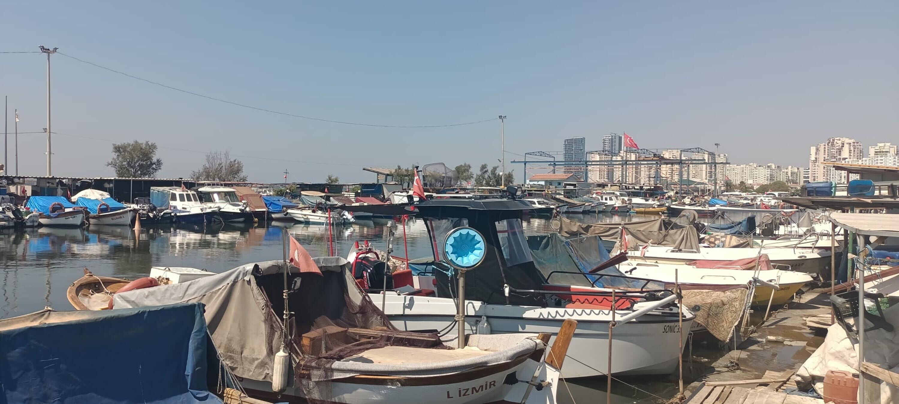 Bu Sene Denizlerin Padisahi Palamut Ol 1474371 438705 (1)