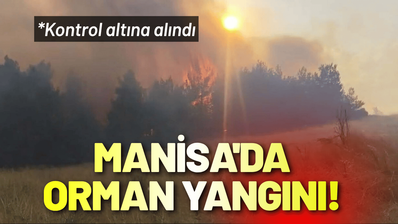 Manisa'da orman yangını! Kontrol altına alındı
