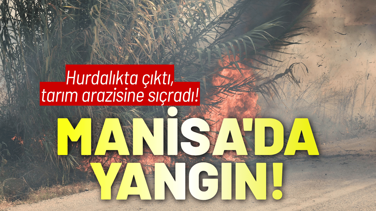 Manisa'da hurdalıkta yangın, tarım arazisine sıçradı!