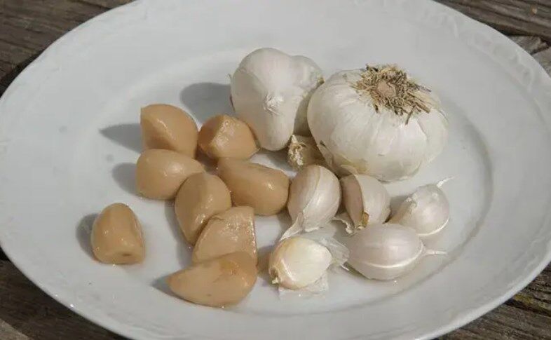 Zerdeçal3
