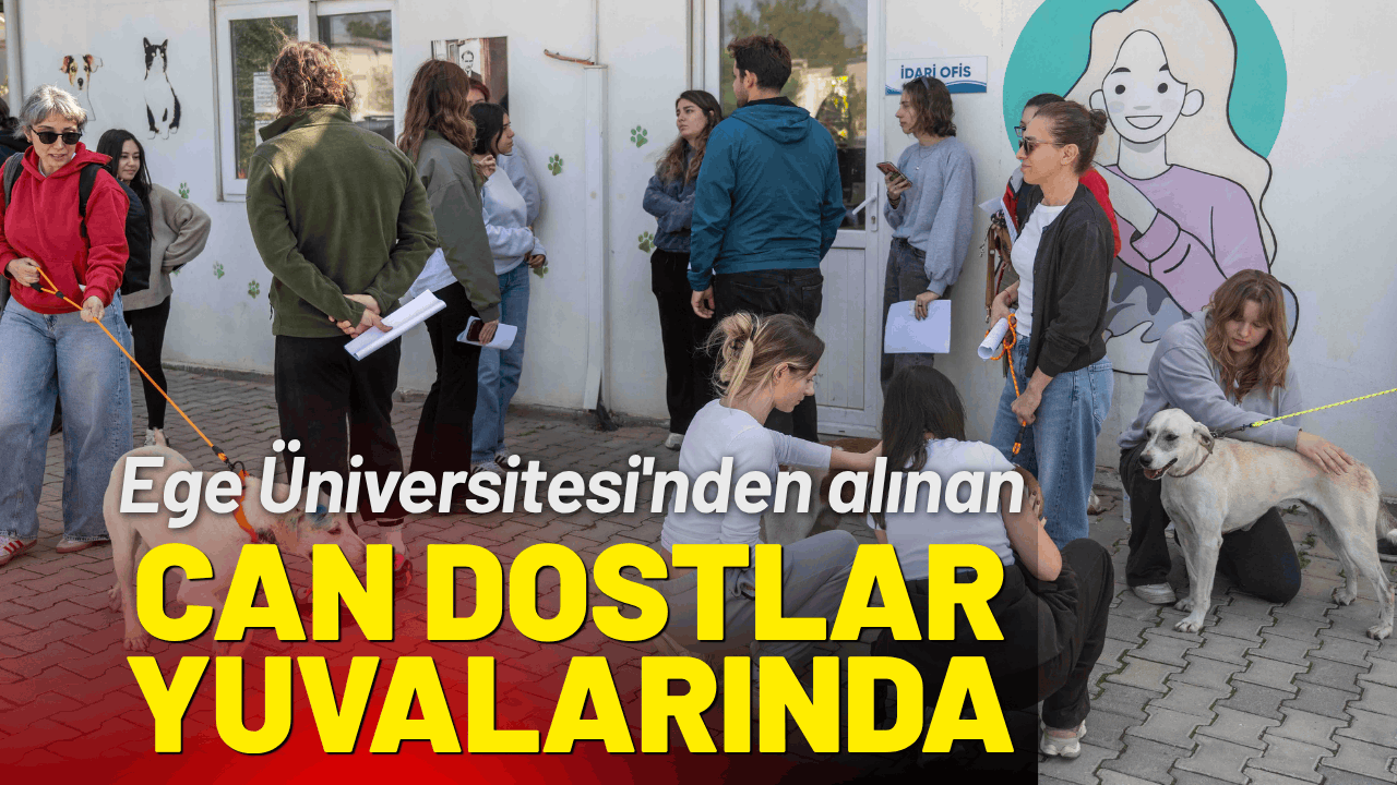 Ege Üniversitesi'nden alınan can dostlar, yeni sahipleriyle buluştu